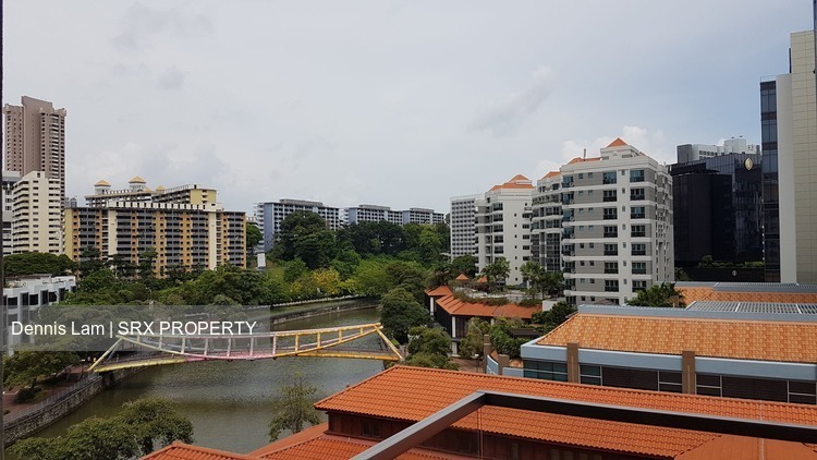The Pier at Robertson (D9), Apartment #174412432